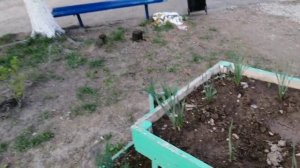 23-04-2025    а шо. надо все снимать. где лежит стоит