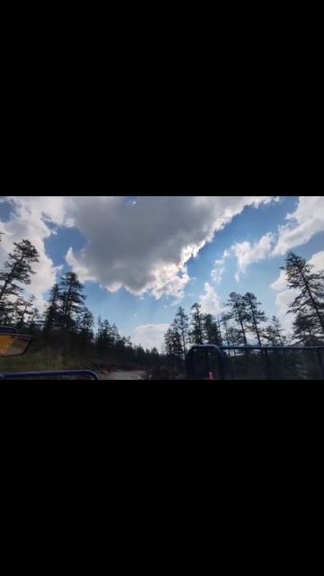 Два месяца на вахте крыша вышла из чата.