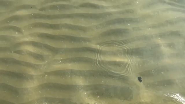 Влог из Римини:)😊 15.10.18 смотреть онлайн