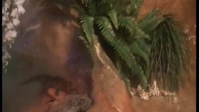 Евпаторийский аквариум. смотреть онлайн