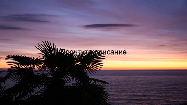 продажа русские сезоны сочи смотреть онлайн