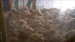 Технология производства плит МДВП БЕЛПЛИТ