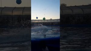 Дельфинарий г.Суздаль