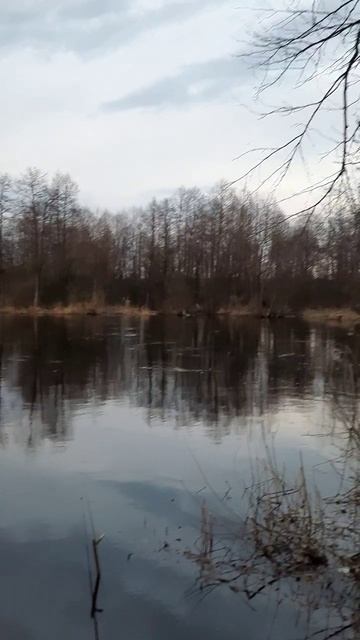 Открытие сезона 2025!🎣