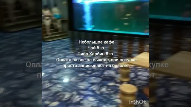 Маньчжурия Водный куб смотреть онлайн