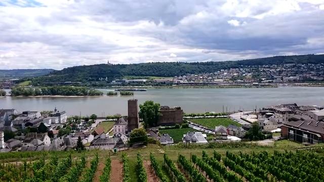 DID Франкфурт. Отзыв студента из Украины! смотреть онлайн