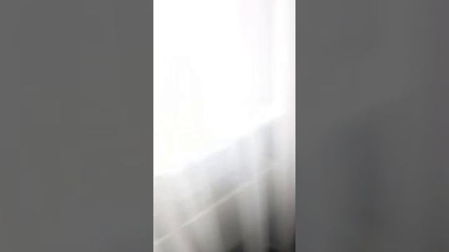 Мероприятие в Измайлово