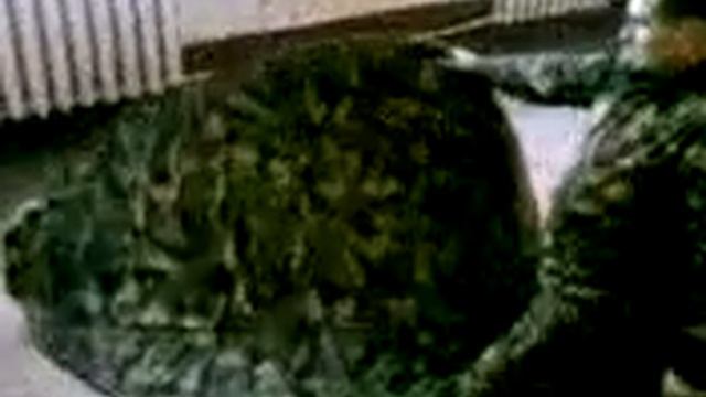 cложить палатку.avi смотреть онлайн