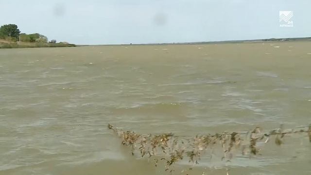 Соседи (27.05.2022) смотреть онлайн