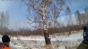 Загонная охота на косулю