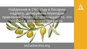 24 апреля 2025. Кость Его да не сокрушится. Под сенью благодати.Адвентисты