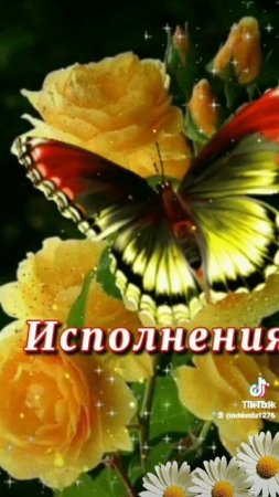 я новый