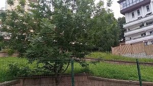 Кисловодск. Гостиница "Кавказ". Какое будущее?... 20.06.2024 г.