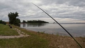 Рыбалка в Карелии 2024/Отдых на базе/1 часть