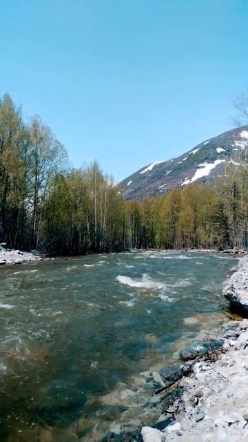 Гоуджекит. смотреть онлайн