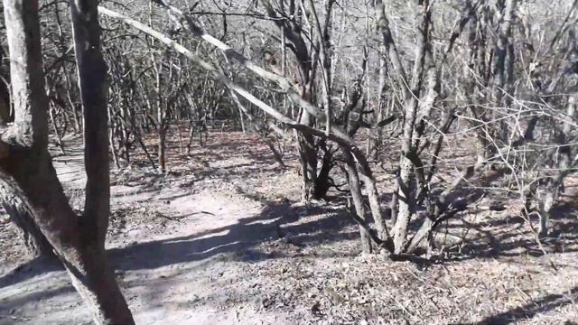 Спуск с горы у Абрау Дюрсо смотреть онлайн