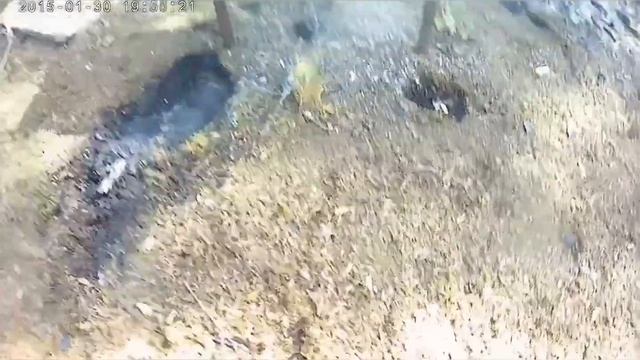 Поход на оз. Малое Луговое с племянниками. смотреть онлайн