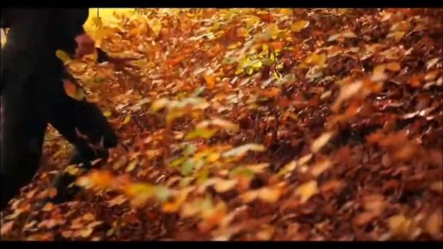 Выживание в лесу смотреть онлайн