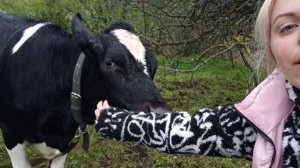 Куда пропали? Что нового на ферме?