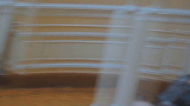 Зимняя школа актива РГТЭУ-2012. Марьино смотреть онлайн