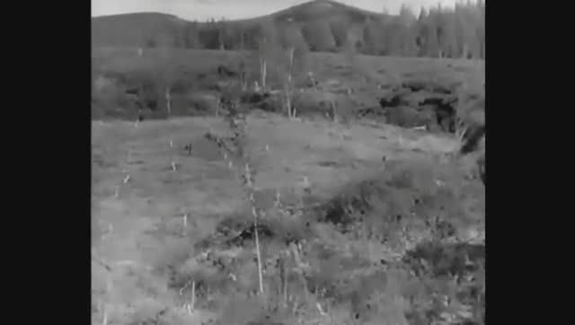 Тунгусский метеорит. Документальный фильм (1966 год)