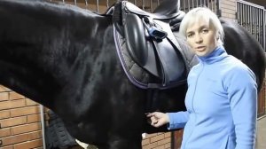 Как оседлать лошадь