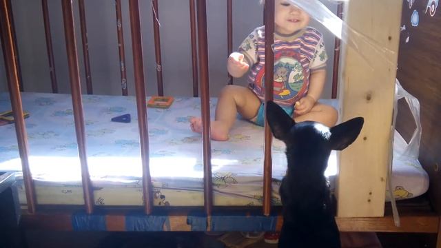 Злата дразнит Шаню печенькой смотреть онлайн