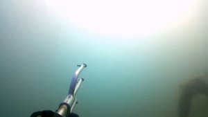 Подводная охота на Лабана Сочи 73км