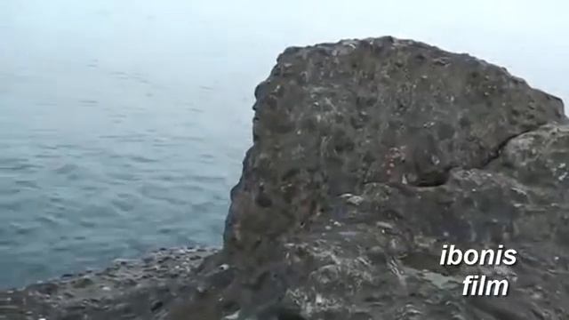 Утро в Кобулети by ibonis Film Studio смотреть онлайн