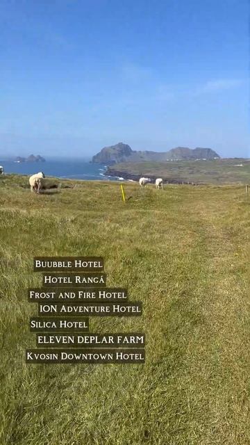 барашки отели смотреть онлайн