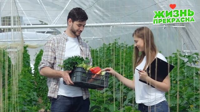 КАБАЧКИ ЗАВАЛЯТ ВАС УРОЖАЕМ ЕСЛИ ПРИМЕНЯТЬ ЭТУ БЕЛУЮ ПОДКОРМКУ! СУПЕР ПОДКОРМКА КАБАЧКОВ