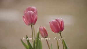 HAMIMOMMY Возвращаюсь к своей повседневной жизни 🌿ㅣГотовка, цветение сакуры и моменты в садуㅣВесенн