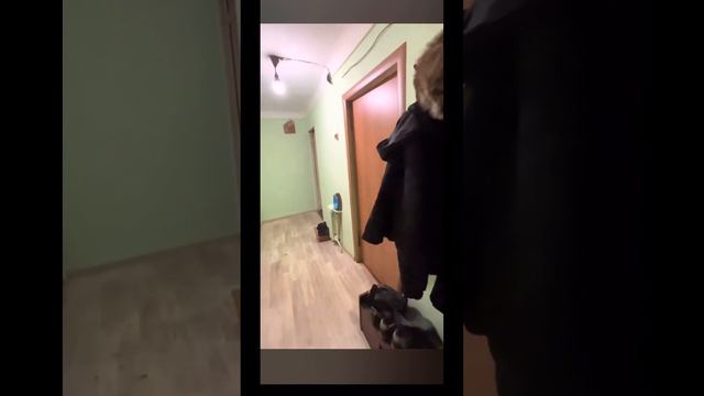#питер #аренда #туризм #россия #family #отдых #отпуск #новыйгод #нг