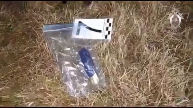 Убили мэра Киселевска Сергея Лаврентьева смотреть онлайн