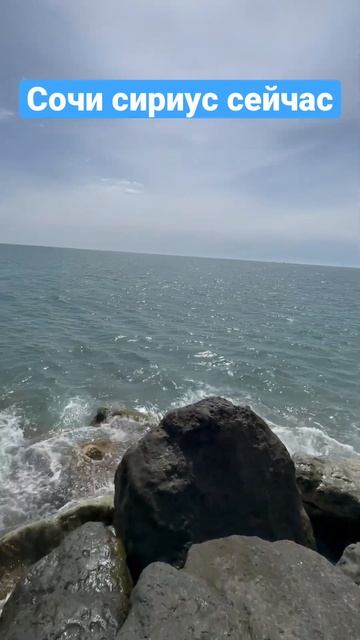 СОЧИ АДЛЕР СИРИУС СЕЙЧАС #shorts смотреть онлайн
