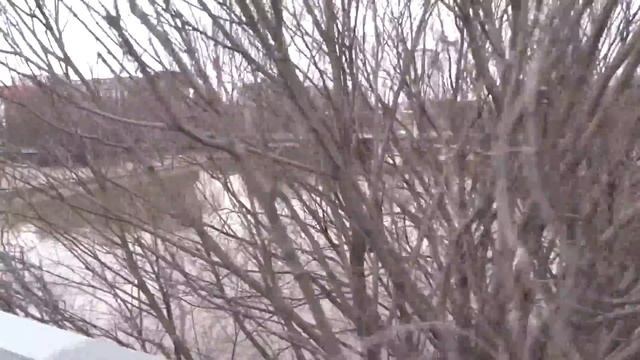 Обустройство второй эстакады и берегов Преголи смотреть онлайн