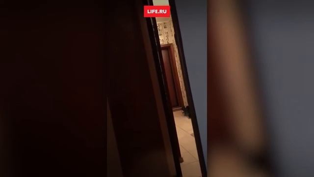 Пьяный депутат подрался с пилотами