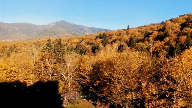 Гузерипль 2018 смотреть онлайн