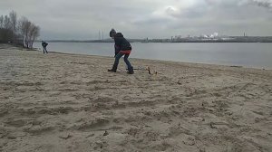 Коп на пляже