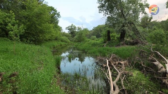 iВолга 2016 «Relax» смотреть онлайн