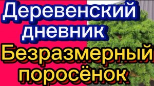 ДЕРЕВЕНСКИЙ ДНЕВНИК. "ТУШЁНКА И ВСТРЕЧА СЫНА"