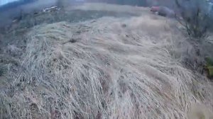 тест пороха рекс 2,сокол, салют 4, drago