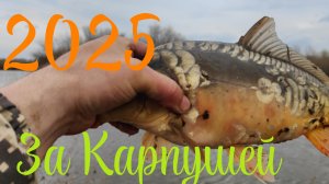 Первый выезд на Карпа,шашлычёк,погода подвела.