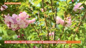 А за окном. 23 апреля 2025