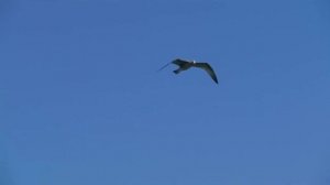 Дагестан ( история)