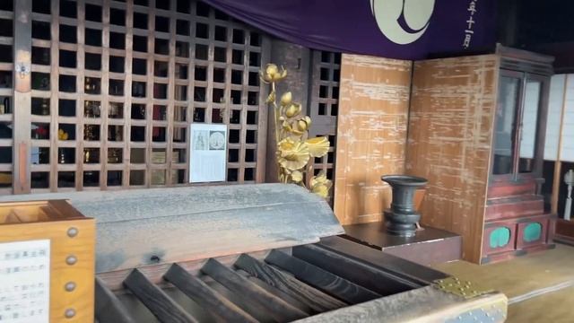 Япония. Город Нара. Парк с оленями и храмами. смотреть онлайн