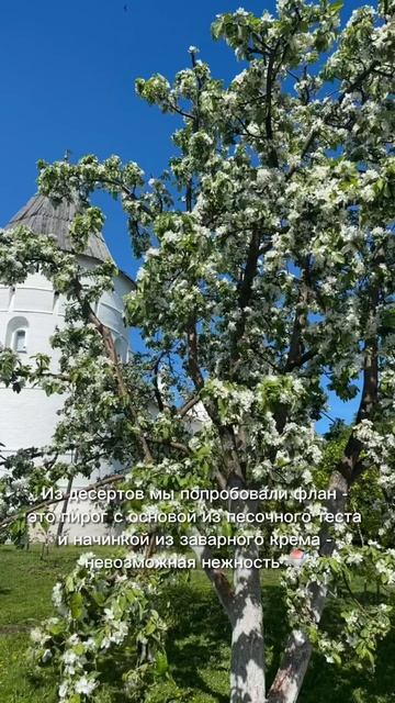 Что мы ели в путешествии по Золотому кольцу 🥐 #еда смотреть онлайн