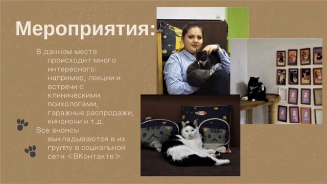 Карта антикафе в Томске "Cat Space" - моё любимое кафе. смотреть онлайн