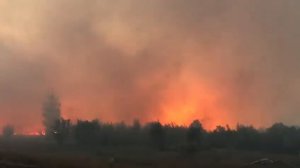 В ЗКО горит лес