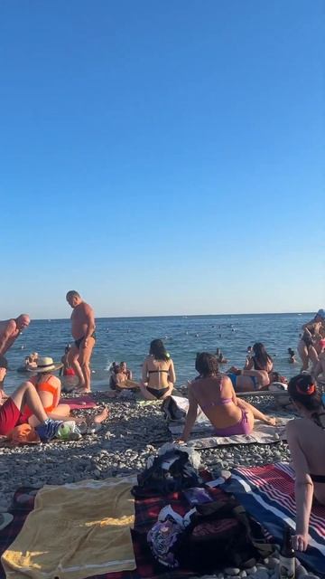 Бетта, центральный пляж заполнен по максимуму 😱 лайки, комментарии 💯 #бетта #геленджик#gelendzhik смотреть онлайн